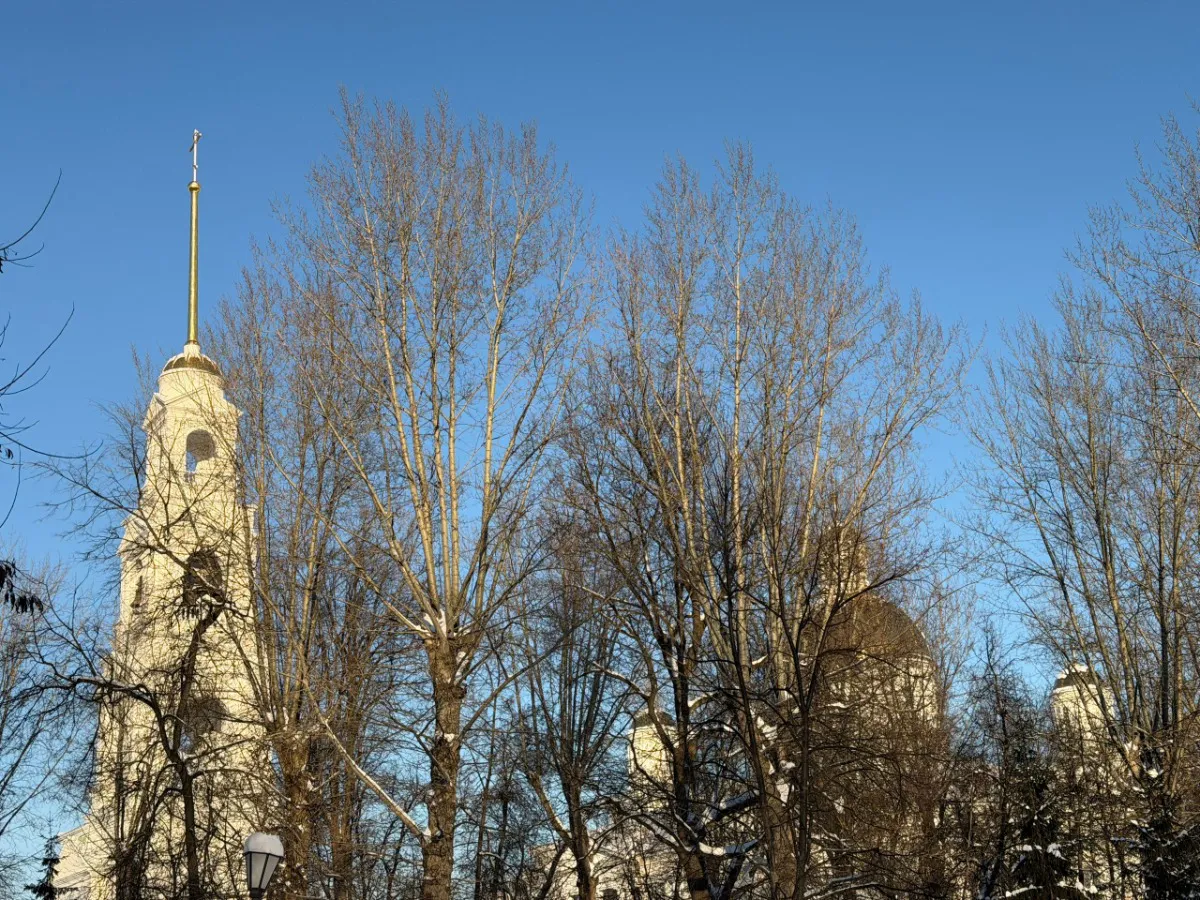 Стало известно, какая погода ждёт Пензу 31 января