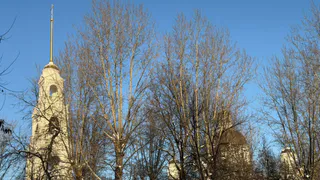 Стало известно, какая погода ждёт Пензу 31 января