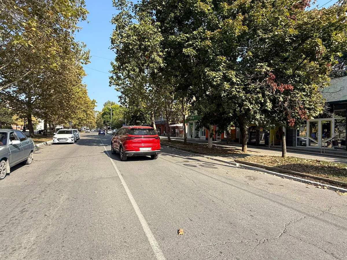 За эти предметы в багажнике будут лишать прав с 12 декабря 2025 года