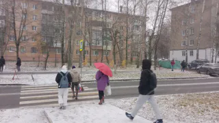 Выпадет выигрышный лотерейный билет: Павел Глоба предрек одному знаку в декабре стать суперзвездой