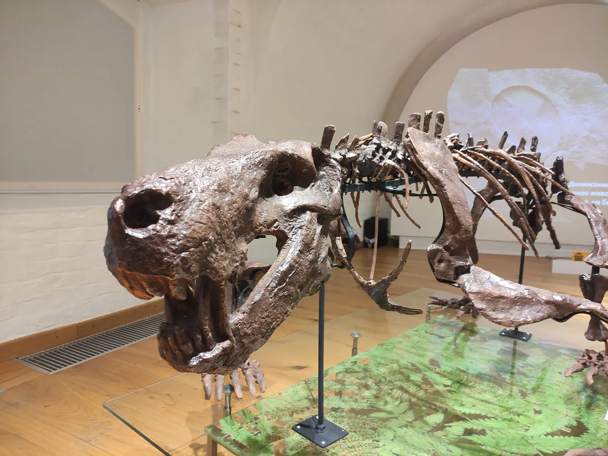 Челябинская область отмечает Международный день музеев