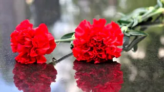 "Светлая память": Во Владимирской области простятся с молодым рядовым, погибшим в зоне СВО