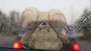 Трагедия: смерть после салюта