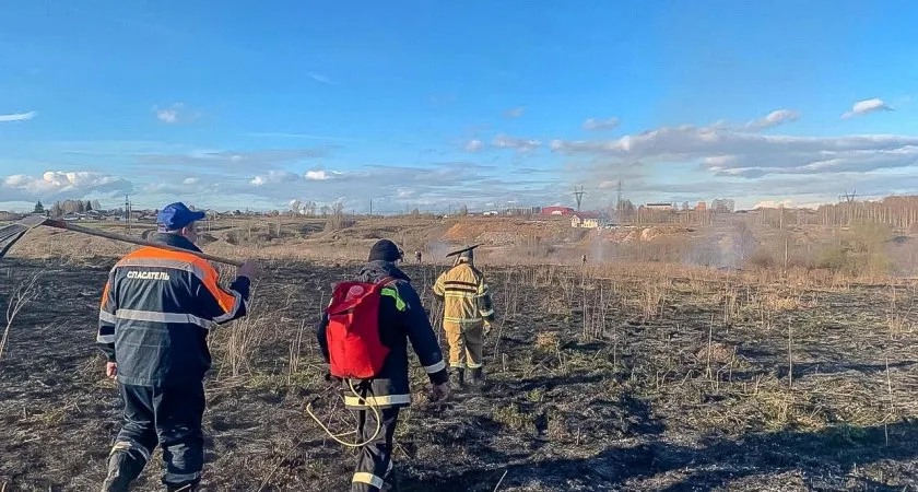 Во Владимирской области загорелась территория площадью 250 кв.м