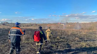 Во Владимирской области загорелась территория площадью 250 кв.м