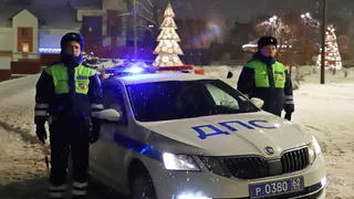 Голый рязанец в Дашково-Песочне подрался с патрульным автомобилем