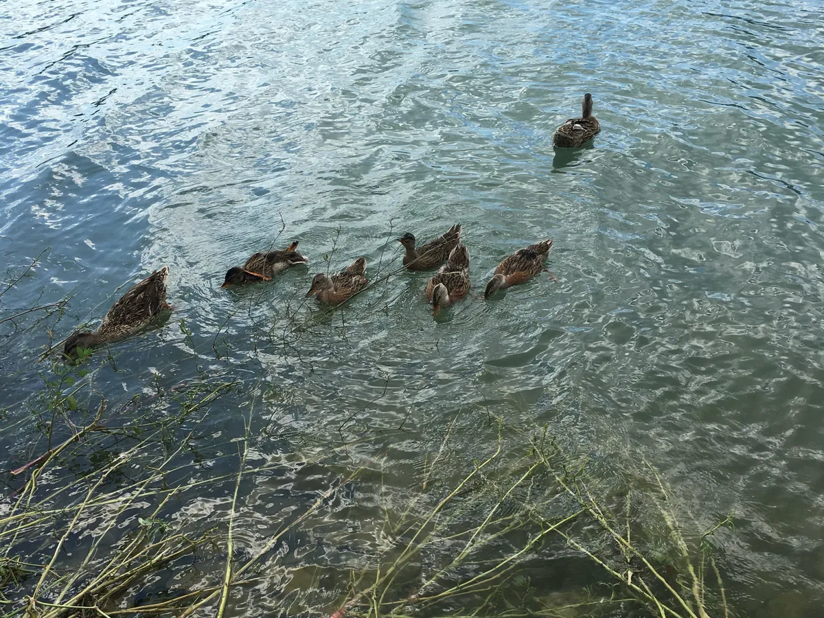 Антициклон принесет в Челябинскую область жару