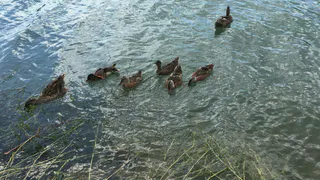 Антициклон принесет в Челябинскую область жару