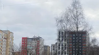 7 ноября погода в Коми вновь продемонстрирует контрасты: от морозно и солнечно до дождливо и тепло