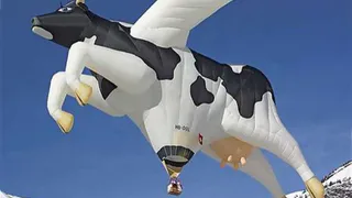 В Брянской области предсказали рост доходов бюджета