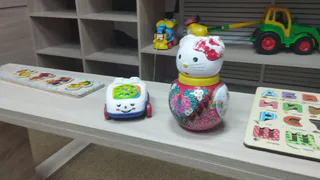 В рязанском Перинатальном центре за сутки родилось 14 девочек