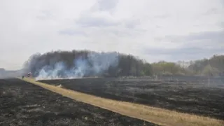 В десяти районах области закрыли въезд в лес