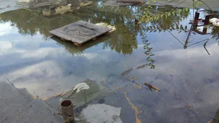 Рязанцы страдают от потопов в квартирах