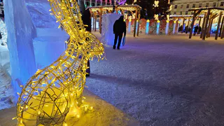 Стало известно, когда в Магнитогорске откроют ледовые новогодние городки 