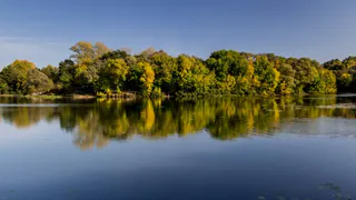 В Десне у Чашина Кургана утонули двое мальчиков