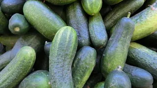 Беру семена именно этих огурцов — и урожай растёт так быстро, что соседи завидуют