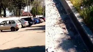 “Водители бросают в кусты окурки и использованную туалетную бумагу”: рязанка сняла на видео территорию возле ГИБДД