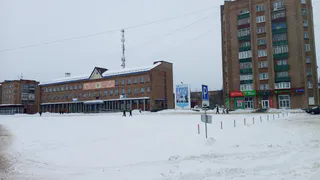 Зима в России пока отступает надолго: Роман Вильфанд поставил точку в вопросе, ждать ли снега на Новый год