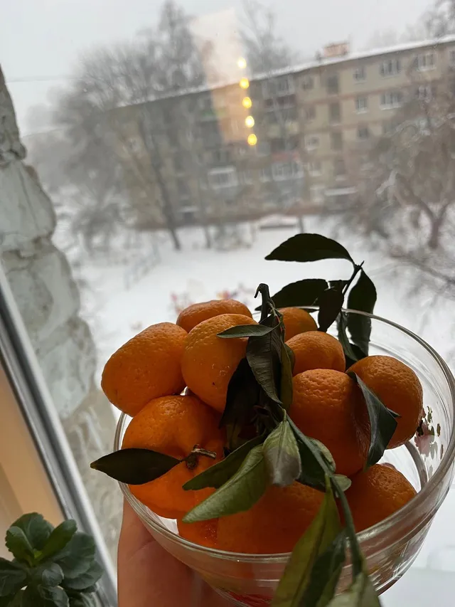 На улице пурга, а из окон не дует, и подоконники тёплые: дешёвая вещица за пять минут сохранит герметичность щелей