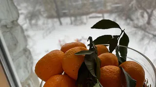 На улице пурга, а из окон не дует, и подоконники тёплые: дешёвая вещица за пять минут сохранит герметичность щелей