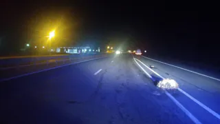 Раскатал по асфальту: под Рязанью насмерть сбили человека