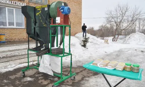 На селе: нижнекамцам предложили выращивать рапс