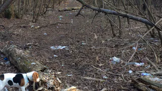 Рязанцы о мусоре: хватит ныть, пора убирать