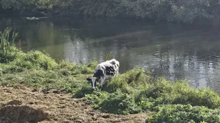 Грядет самое странное лето за весь 21 век: метеорологи рассказали, чего ждать россиянам