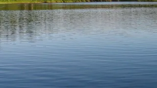 Из озера Велье под Рязанью извлекли труп 38-летней утопленницы