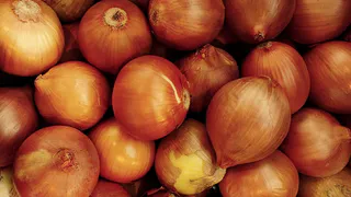 Луковая шелуха как натуральный стимулятор: Как укрепить слабые ростки