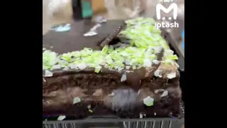 Казанка купила в «Бэхетле» торт с плесенью