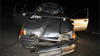 В Касимовском районе  погиб водитель из-за столкновения с лосем