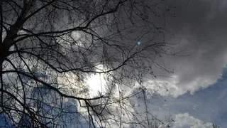 Прогноз синоптиков – какой погоды ждать рязанцам в воскресенье