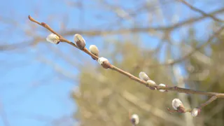 Как будем отдыхать на майские праздники? Календарь выходных дней