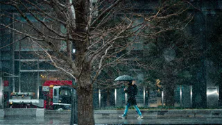 Тепло все... В ночь на воскресенье похолодает до +8 градусов