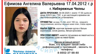 В Набережных Челнах разыскивают пропавшую 13-летнюю школьницу