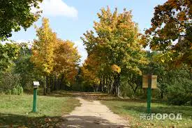 "Бабье лето" продолжит удивлять жителей Челябинской области