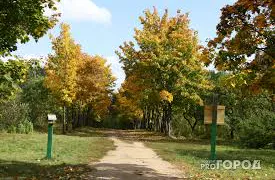 "Бабье лето" продолжит удивлять жителей Челябинской области