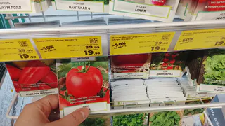 Семена этих томатов недорогие, а урожай радует всегда — проверенные сорта, которые давно стали хитами