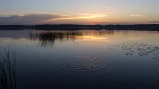 В Навлинском районе утонула вожатая детского лагеря