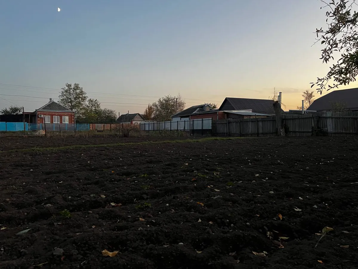 Каким будет лето-2025 после такой аномально теплой зимы: эксперты рассказали, чего ждать садоводам