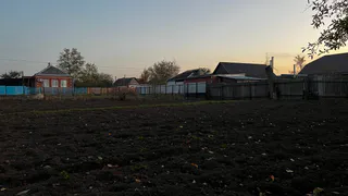 Каким будет лето-2025 после такой аномально теплой зимы: эксперты рассказали, чего ждать садоводам