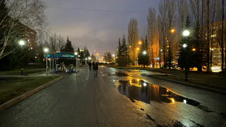 Прогулка превратилась в настоящий квест: пешеходную дорожку в п. Строитель не убирали несколько десятилетий