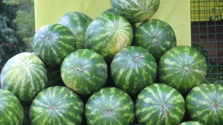 Роскачество проверило ранние арбузы на пестициды и нитраты