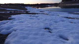 В Челябинской области потеплеет до +16 градусов: синоптики рассказали о погоде на 26 марта