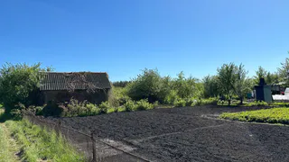 Эта копеечная крупа превратит даже бетонную почву в плодородный чернозем в сентябре: экономно и действенно