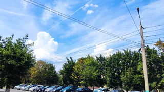 Жителей области оштрафовали на 3,6 миллиона за парковку на газонах