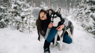 Нового хозяина не признают никогда: 5 невероятно преданных пород собак