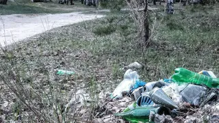 Авторская колонка: «Перестаньте мусорить в нашем поселке!»