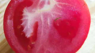 Белые жилы в помидорах: почему ваш урожай становится «резиновым» и как это исправить